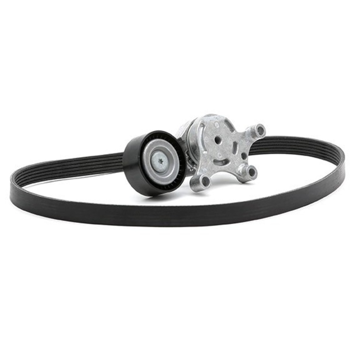 Комплект пистов ремък 529 0261 10 Citroen Ford Peugeot Volvo