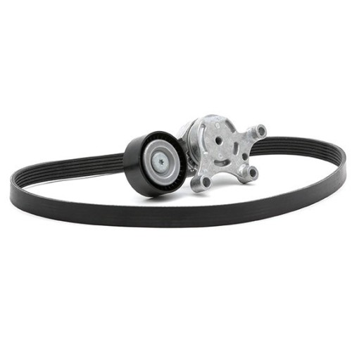 Комплект пистов ремък 529 0261 10 Citroen Ford Peugeot Volvo