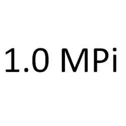 1.0 MPI DSGA 65 к.с. 2021-