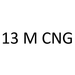 13M CNG F2CFE602D 360 к.с. 2019-