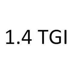 1.4 TGI CPWA 110 к.с. 2013-2018