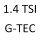 1.4 TSI G-TEC CPWA 110 к.с. 2012-2017