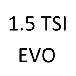 1.5 TSi EVO DPBC 114 к.с. 2021-