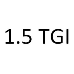 1.5 TGI DHFA 131 к.с. 2018-2020