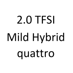 2.0 TFSI Mild Hybrid quattro DDWA 252 к.с. 2017-2019