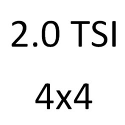 2.0 TSI 4x4 DKZA 190 к.с. 2019-2020