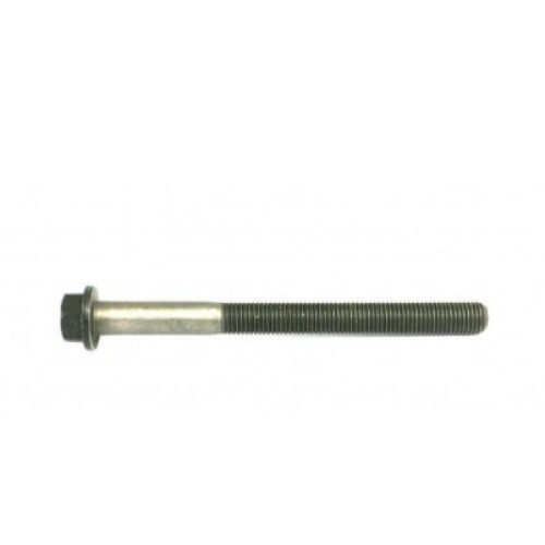 Болт глава 278901153201 Tata 2.2 Dicor