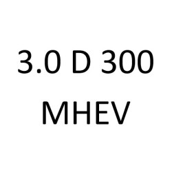 3.0 D300 MHEV DT306 AJ20D6 300 к.с. 2020-