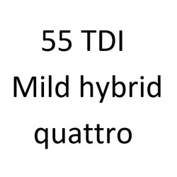 55 TDI Mild Hybrid quattro DMKD 345 к.с. 2020-