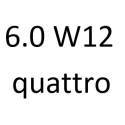 6.0 W12 quattro BTE BHT BSB 450 к.с. 2003-2010