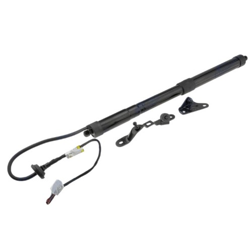 Амортисьор за багажник ляв 6892009010 68920-09010 Toyota Rav 4