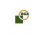 BGA