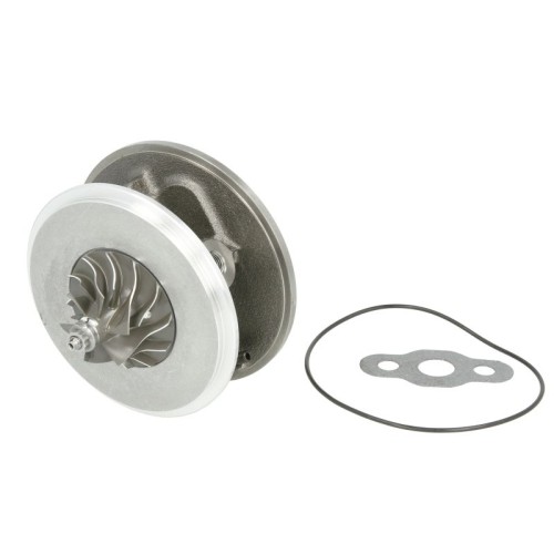 Картридж EVCH0097 Audi Skoda Vw