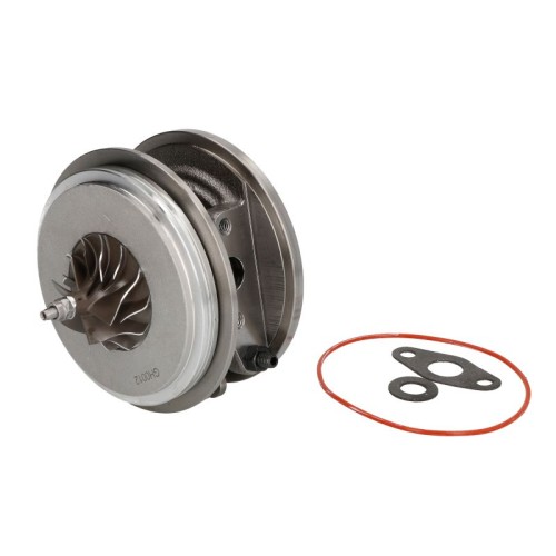 Картридж EVCH0012 Audi Skoda Vw