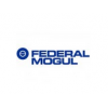 FEDERAL MOGUL