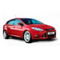 Focus 2010-