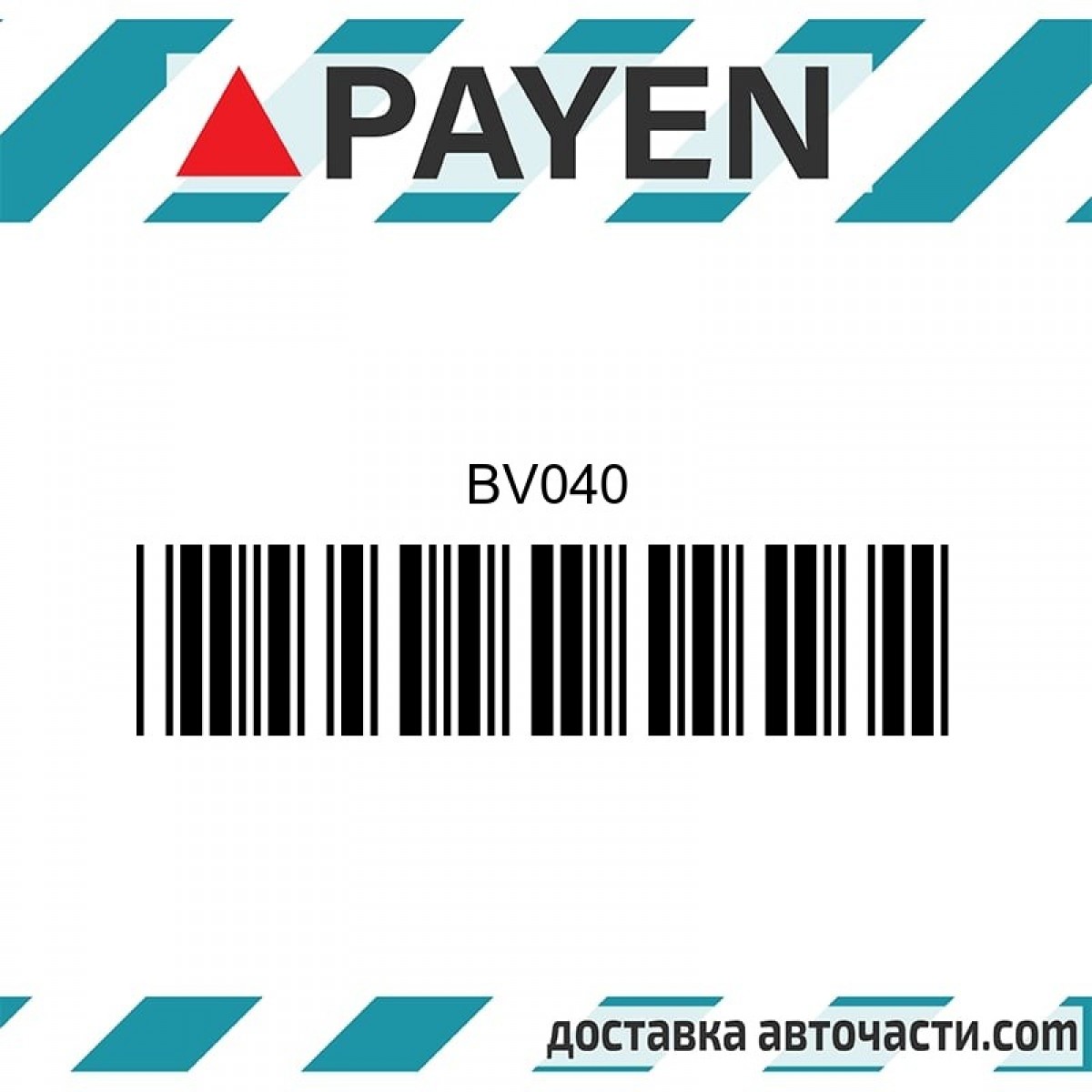 Гарнитура глава BV040 PAYEN
