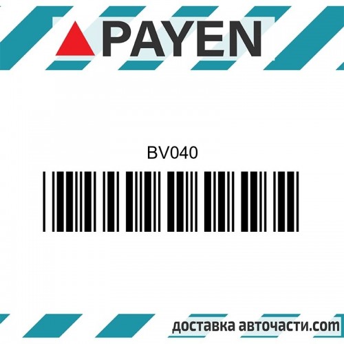 Гарнитура глава BV040 PAYEN