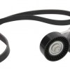 Комплект пистов ремък 529 0013 10 Alfa Romeo Fiat Ford