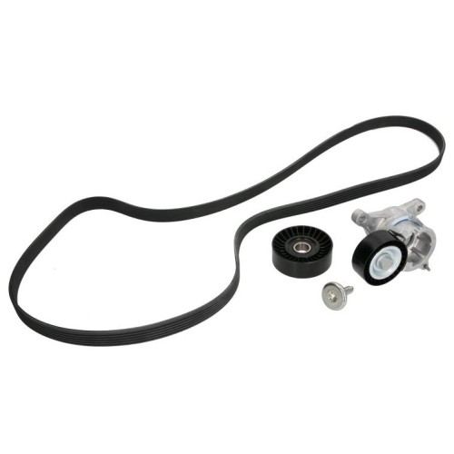 Комплект пистов ремък 529 0183 10 Peugeot Citroen