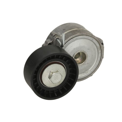 Обтягащо рамо пистов ремък 534006810 Citroen Ford Land Rover Peugeot