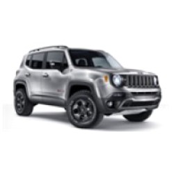 Renegade 2014-