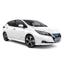 Leaf ZE1 2017-