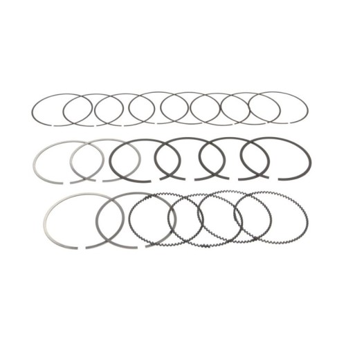 Комплект сегменти 121094002500 Fiat Subaru Suzuki