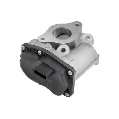 EGR клапан EGR-RE-019 Dacia Renault