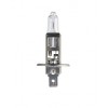 Крушка H1 Philips Masterlife 13258MLC1