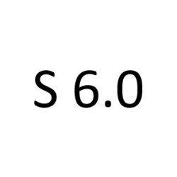S 6.0 M 285 980 612 к.с. 2005-2012