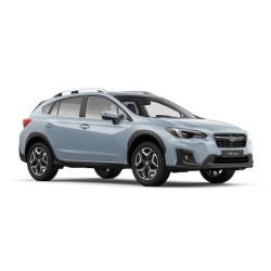 Xv 2017-